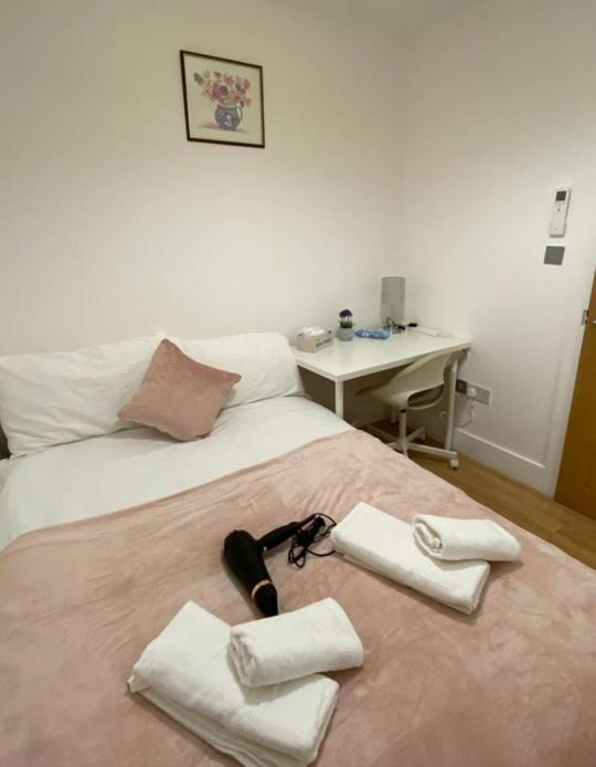 Cosy Private Rooms Near Euston Station, Central Londres Exterior foto